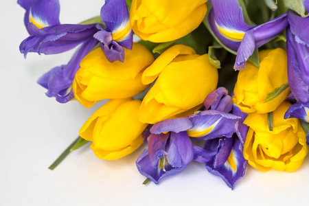 A bouquet of yellow tulips and purple irises on a white isolated background. The concept of the onset of spring and International Women's Day on March 8.の写真素材