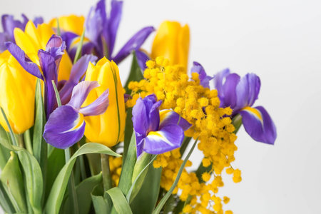 A bouquet of yellow tulips, mimosa and purple irises on a white isolated background. The concept of...