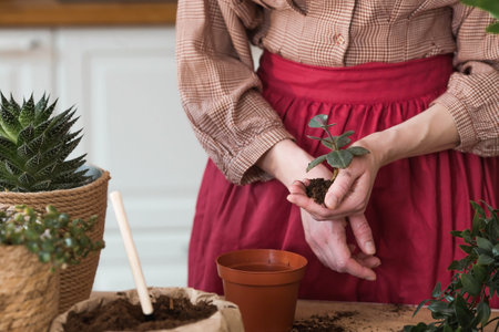 A young woman in vintage clothes in the interior of the kitchen carefully looks after transplants and waters indoor plants. Girl's hands and plants close-up. garden.の写真素材