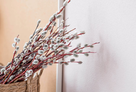 A bouquet of Willow twigs for the Orthodox holiday Palm Sunday. Willow close-up.の写真素材
