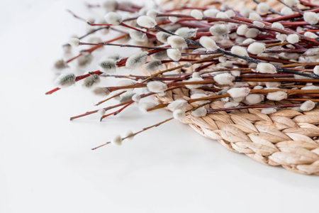 A bouquet of Willow twigs for the Orthodox holiday Palm Sunday. Willow close-up.の写真素材