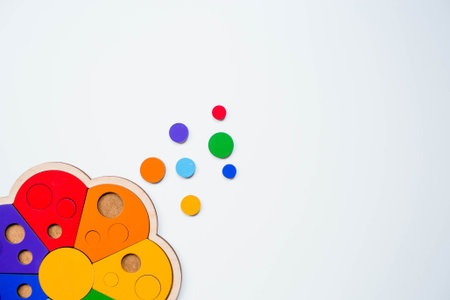 Children's wooden toy. Sorter on a white isolated background.. Educational logic toys for children....