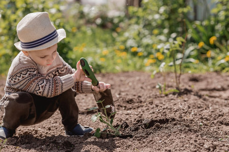 A cute boy in a hat is planting seedlings in a summer garden, outdoors. The concept of gardening and teaching a child to work.の写真素材