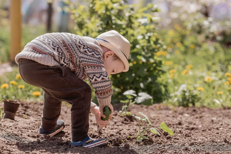A cute boy in a hat is planting seedlings in a summer garden, outdoors. The concept of gardening and teaching a child to work.の写真素材