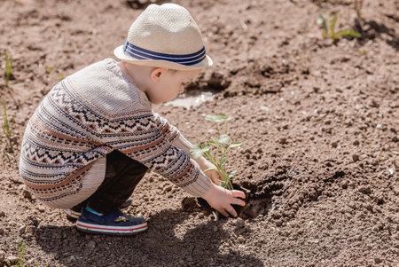 A cute boy in a hat is planting seedlings in a summer garden, outdoors. The concept of gardening and teaching a child to work.の写真素材