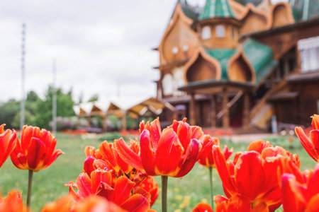 The Palace of Tsar Alexei Mikhailovich in Kolomenskoye shot through red tulips. Russia, Moscow, May 2023の写真素材