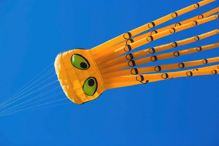 Huge octopus kites fly in the sky. The annual festival "Motley Sky" in the Tsaritsyno Park in Moscow, Russiaの写真素材