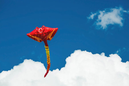 Huge octopus kites fly in the sky. The annual festival "Motley Sky" in the Tsaritsyno Park in Moscow, Russiaの写真素材