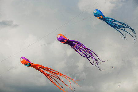 Huge octopus kites fly in the sky. The annual festival "Motley Sky" in the Tsaritsyno Park in Moscow, Russiaの写真素材