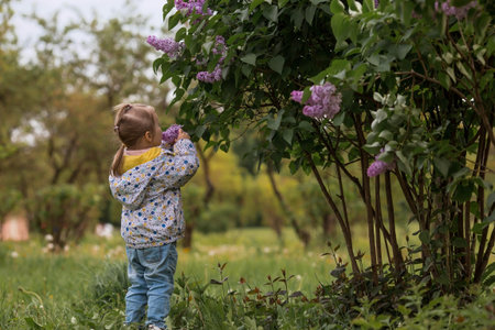 spring flowering. Portrait of a beautiful little girl 3 years old with lilac flowers in nature....