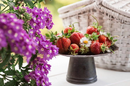 Fruits and berries. summertime. Delicious fresh strawberries on a stylish retro iron tray on a white table. Space for text.の写真素材