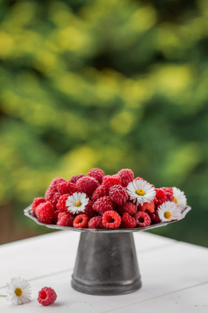 Fruits and berries. summertime. Delicious fresh raspberries on a stylish iron tray in retro style on a white table. Space for text.の写真素材