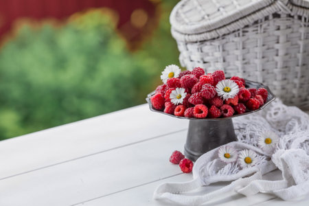 Fruits and berries. summertime. Delicious fresh raspberries on a stylish iron tray in retro style on a white table. Space for text.の写真素材