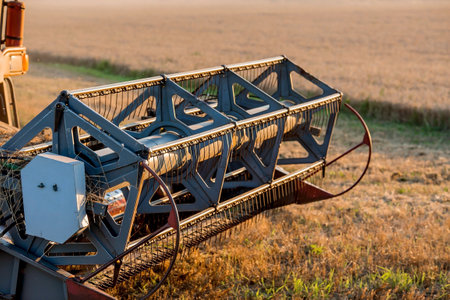 agricultural machinery. agricultural industry. The combine harvester removes golden ears of ripe wheat against the background of a ripening field. The concept of planting and harvesting a rich harvest. Rural landscape at sunset.の写真素材