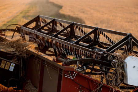 agricultural machinery. agricultural industry. The combine harvester removes golden ears of ripe wheat against the background of a ripening field. The concept of planting and harvesting a rich harvest. Rural landscape at sunset.の写真素材