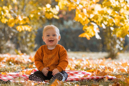 Portrait of a little boy 9 months old in the open air. A happy child in an autumn park with...