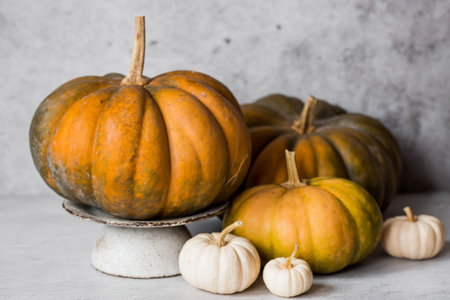 Seasonal autumn food. Fresh pumpkins on a stylish ceramic plate on a gray concrete background. A rich harvest of melons.の写真素材