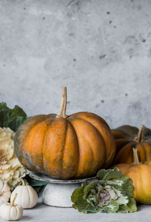 Seasonal autumn food. Fresh pumpkins and decorative cabbage on a gray concrete background. A rich...
