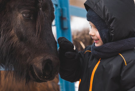 A breed of decorative dwarf horses. Cute little pony on the farm. Close-up of a portrait of an animal next to a child. A boy is stroking a pony. Animal care.の写真素材