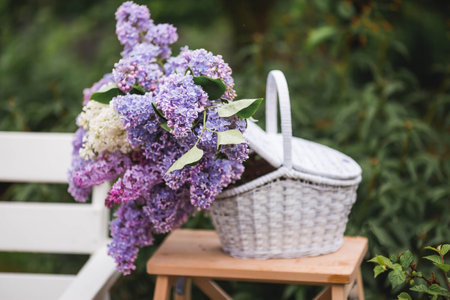 Spring. Decor. Beautiful bouquets of lilacs in a wicker basket of vines on a white bench in the spring garden. A beautiful postcard for printing. The concept of spring and holiday.の写真素材