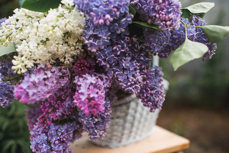 Spring. Decor. Beautiful bouquets of lilacs in a wicker basket of vines on a white bench in the spring garden. A beautiful postcard for printing. The concept of spring and holiday.の写真素材