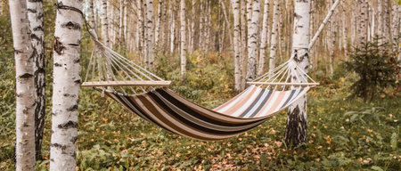 Outdoor recreation. Hammock in the birch autumn forest. The concept of a cozy autumn vacation.の写真素材