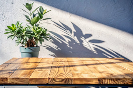 An empty old wooden countertop against a gray wall with sunlight and shadows from the leaves of trees. Background for the presentation and advertising of goods.の素材