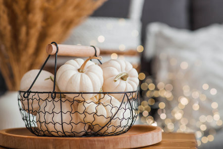 Still-life. White decorative pumpkins in an iron loft basket on the table in the home interior of the living room on the background of a beautiful side of lights. The concept of a cozy autumn.の写真素材