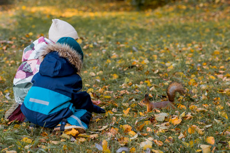 Children feed a squirrel in the autumn park. Young children are watching a wild animal in an autumn forest with golden foliage. Children are playing outside.の写真素材