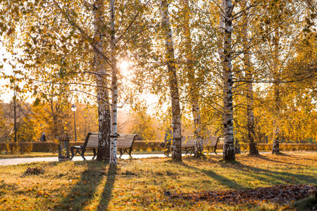 Russia. Tsaritsyn Park in Moscow on an autumn day. Beautiful sunny landscape with benches and birch trees. Warm sunlight.の写真素材