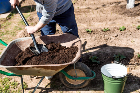A male farmer pours new soil, soil for a new greenhouse. The concept of spring vegetable planting,...