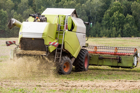 Agricultural industry. A combine harvester harvests from the field. The concept of processing and...