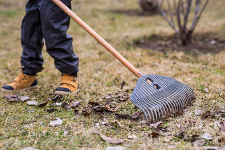 A pile of old leaves, a man is doing a general cleaning in the garden in the spring. Cleans the lawn...