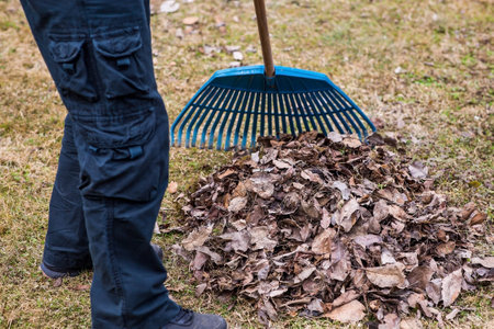 A pile of old leaves, a man is doing a general cleaning in the garden in the spring. Cleans the lawn of leaves. Gardening. Cleaning and preparing the garden for the summer season.の写真素材