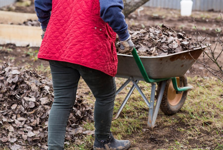 A pile of old leaves, an elderly woman does a spring cleaning in the garden. Cleans the lawn of leaves. Gardening. Cleaning and preparing the garden for the summer season.の写真素材