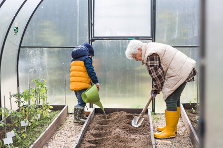 An elderly woman with a shovel and a boy with a watering can prepare the ground before planting a plant. Seedlings are planted in the ground in a greenhouse. Planting vegetables and agriculture.の写真素材