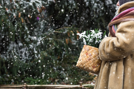 New Year's card 2026. A Russian fairy tale of 12 months. A girl in a fur coat with a bouquet of snowdrops in a basket.Snow is falling.の写真素材