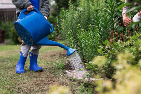 A cute boy with a blue watering can is watering plants and flowers in a summer garden outdoors. The...