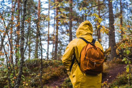 Tourism. Hiking. Ladoga skerries on Lake Ladoga. A male tourist in a yellow raincoat with a backpack on the stone islands in the forest. Republic of Karelia, Russia.の写真素材