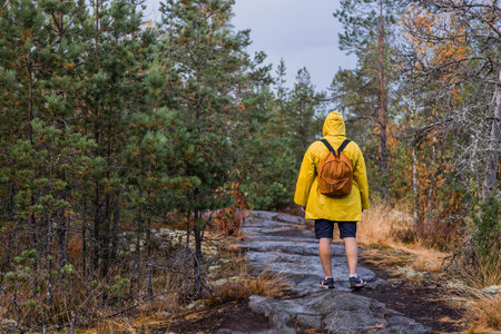 Tourism. Hiking. Ladoga skerries on Lake Ladoga. A male tourist in a yellow raincoat with a backpack on the stone islands in the forest. Republic of Karelia, Russia.の写真素材