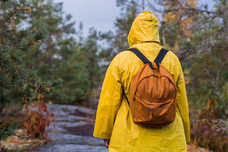 Tourism. Hiking. Ladoga skerries on Lake Ladoga. A male tourist in a yellow raincoat with a backpack on the stone islands in the forest. Republic of Karelia, Russia.の写真素材