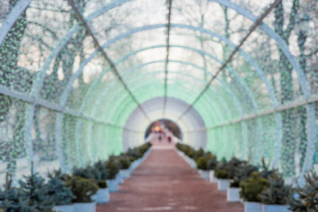 Blurry holiday background. Christmas street decorations, glowing arch and lights, beautiful bokeh.の写真素材