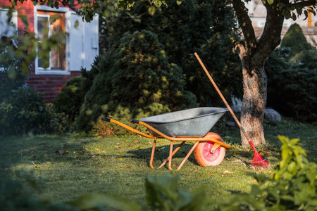 Preparing the garden for autumn and winter. A garden wheelbarrow and rake in the backyard of a house. The concept of housework, gardening, and country life. Closing the summer season.の写真素材