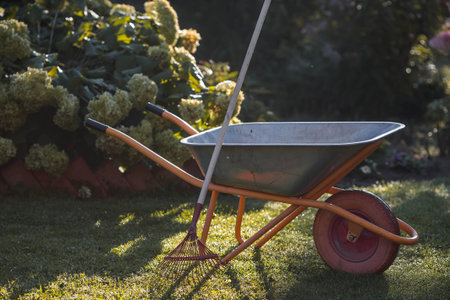 Preparing the garden for autumn and winter. A garden wheelbarrow and rake in the backyard of a house. The concept of housework, gardening, and country life. Closing the summer season.の写真素材