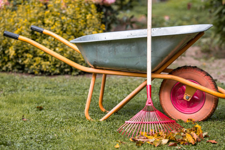 Preparing the garden for autumn and winter. A garden wheelbarrow and rake in the backyard of a house. The concept of housework, gardening, and country life. Closing the summer season.の写真素材