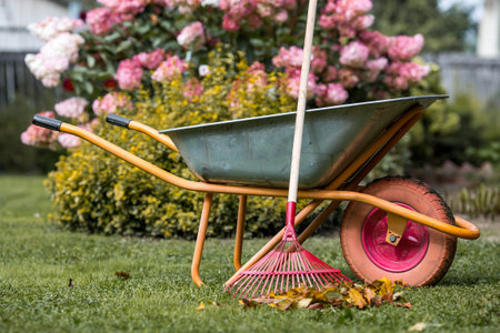 Preparing the garden for autumn and winter. A garden wheelbarrow and rake in the backyard of a house. The concept of housework, gardening, and country life. Closing the summer season.の写真素材
