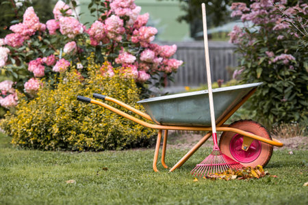 Preparing the garden for autumn and winter. A garden wheelbarrow and rake in the backyard of a house. The concept of housework, gardening, and country life. Closing the summer season.の写真素材