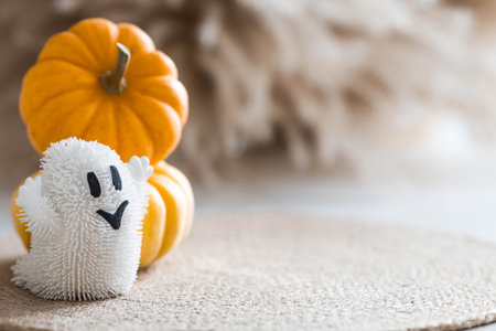 Autumn decor for Halloween. Cute ghost and pumpkins. Banner, background for Halloween celebration.の写真素材