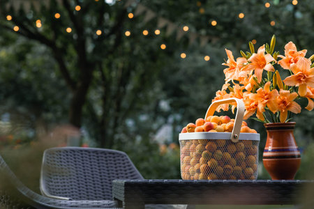 A basket full of apricots on a table in the garden next to a vase of orange lilies. A harvest of fruit.の写真素材