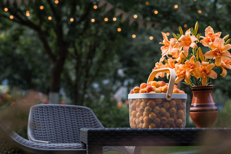 A basket full of apricots on a table in the garden next to a vase of orange lilies. A harvest of fruit.の写真素材
